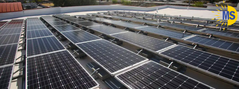 Why Solar Energy is a Smart Investment in Tampa