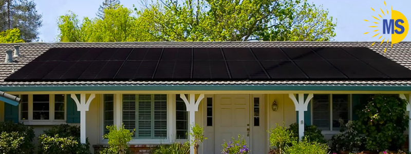 Solar Panel Options: Which Type Is Right for You?